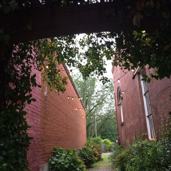 Meet your Posher, Avery - Picture 1 of 1